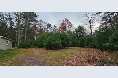 191 Eldred Yulan Road, Yulan, NY 12732 - Photo 34