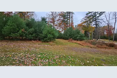 191 Eldred Yulan Road, Yulan, NY 12732 - Photo 32