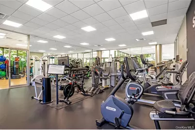 100 Hilton Avenue #411, Garden City, NY 11530 - Photo 36