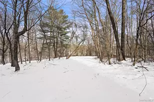 22 Raspberry Ln, Carmel, NY 10512 - Photo 22