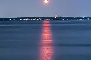 1110 Stadium Ave, Bronx, NY 10465 - Photo 20