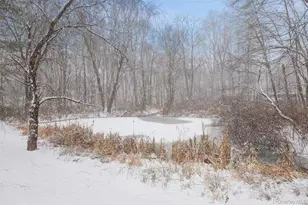 445 N Quaker Ln, Hyde Park, NY 12538 - Photo 36