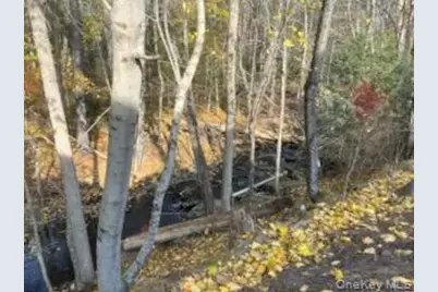 7 Highland Lake Road, Eldred, NY 12743 - Photo 4