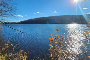 371 Kelly Bridge Rd, Swan Lake, NY 12783 - Photo 16