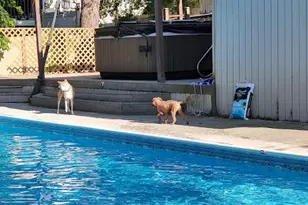 9 Mulberry Dr, Smithtown, NY 11787 - Photo 48