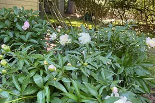 101 Hickory Hill Rd, Tappan, NY 10983 - Photo 38