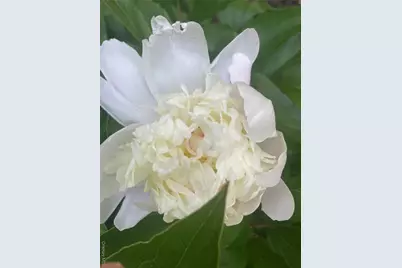 101 Hickory Hill Road, Tappan, NY 10983 - Photo 36