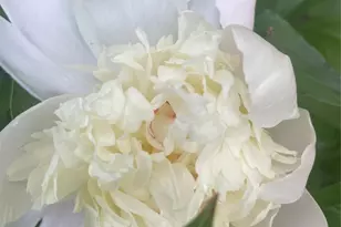 101 Hickory Hill Rd, Tappan, NY 10983 - Photo 36