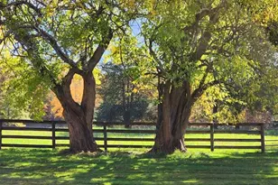 948 Craigville Rd, Chester, NY 10918 - Photo 38