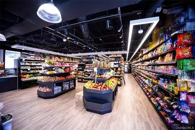 14 E Dillon Road, Monticello, NY 12701 - Photo 44