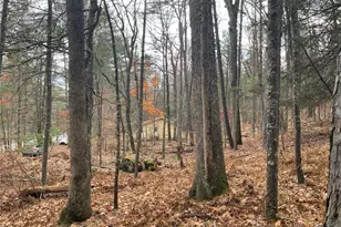 5769 State Route 97, Narrowsburg, NY 12764 - Photo 30