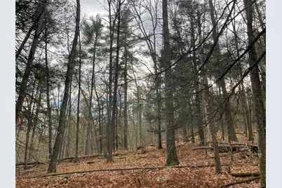 5769 State Route 97, Narrowsburg, NY 12764 - Photo 32