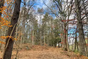 5769 State Route 97, Narrowsburg, NY 12764 - Photo 38