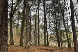 5769 State Route 97, Narrowsburg, NY 12764 - Photo 28