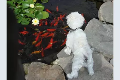 115 Meyer Oval, Pearl River, NY 10965 - Photo 10