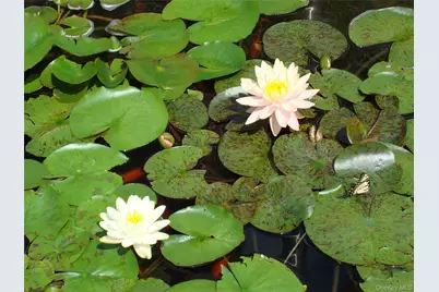 115 Meyer Oval, Pearl River, NY 10965 - Photo 12