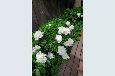 361 Albany Avenue, Kingston, NY 12401 - Photo 44