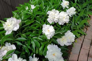 361 Albany Ave, Kingston, NY 12401 - Photo 44