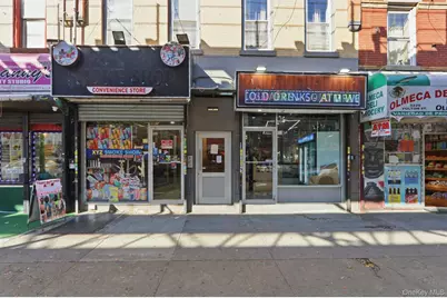 3225 Fulton Street, Brooklyn, NY 11208 - Photo 4