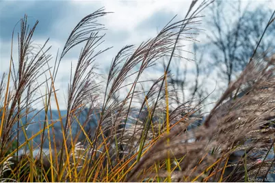 9 Deer Trail S, Greenwood Lake, NY 10925 - Photo 22