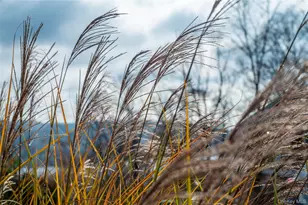 9 Deer Trail S, Greenwood Lake, NY 10925 - Photo 22