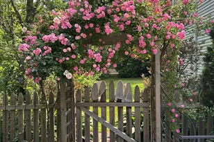 202 Gerard Rd, Yaphank, NY 11980 - Photo 34