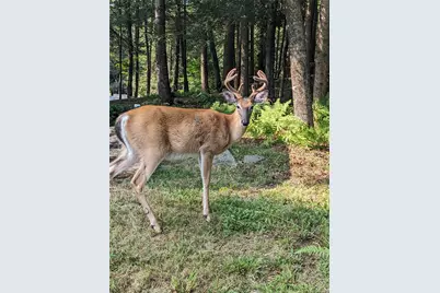 24 N Mohican Trail, Smallwood, NY 12778 - Photo 40