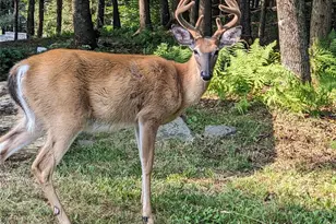 24 N Mohican Trail, Smallwood, NY 12778 - Photo 40