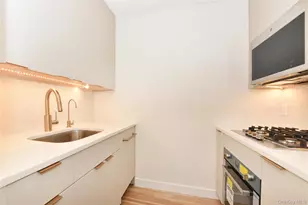 1 Birchwood Ct, Mineola, NY 11501 - Photo 4