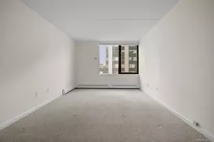 4 Martine Ave, White Plains, NY 10606 - Photo 12