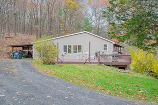 10037 9W Rte, Athens, NY 12015 - Photo 2