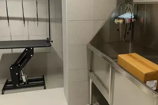 91 Bruckner Blvd, Bronx, NY 10454 - Photo 8