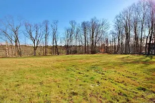 491 Hurd Rd, Swan Lake, NY 12783 - Photo 26