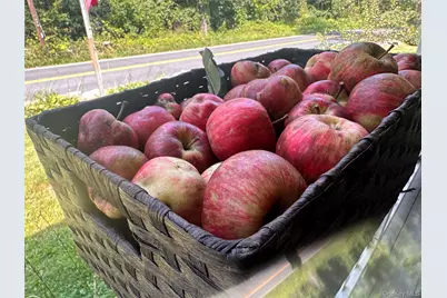 355 Fosler Road, Wallkill, NY 12589 - Photo 38