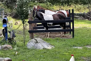 355 Fosler Rd, Wallkill, NY 12589 - Photo 44