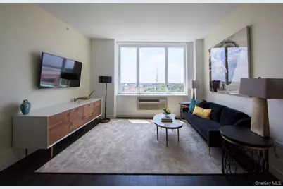 1 Third #1105, Mineola, NY 11501 - Photo 18