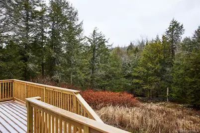 343 Dahlia Road, Livingston Manor, NY 12758 - Photo 22