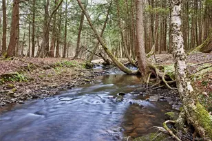 343 Dahlia Rd, Livingston Manor, NY 12758 - Photo 24