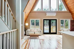 343 Dahlia Rd, Livingston Manor, NY 12758 - Photo 4