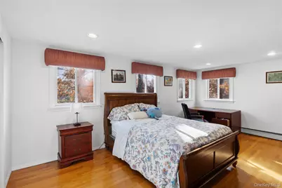 38 Lake Drive, Manhasset Hills, NY 11040 - Photo 26