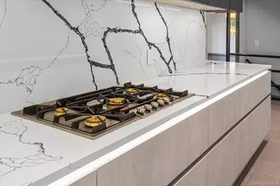 369 E Shore Road, Great Neck, NY 11023 - Photo 24