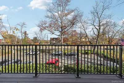 107 N Broadway #113, White Plains, NY 10601 - Photo 42
