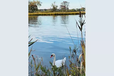 23 Wavecrest Drive, Mastic Beach, NY 11951 - Photo 24