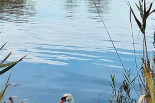 23 Wavecrest Dr, Mastic Beach, NY 11951 - Photo 24