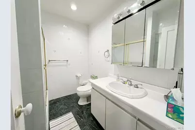 243 Cushing Avenue, Williston Park, NY 11596 - Photo 4