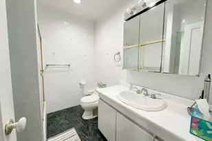 243 Cushing Ave, Williston Park, NY 11596 - Photo 4