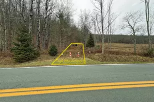 292 Co Rd 93, Roscoe, NY 12776 - Photo 44