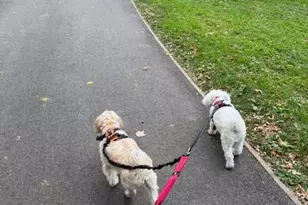 382 Central Prk W, New York, NY 10025 - Photo 24