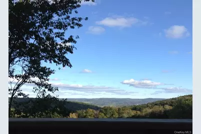 641 Smithfield Road, Millerton, NY 12546 - Photo 22