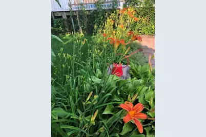 24125 85th Avenue, Bellerose, NY 11426 - Photo 20